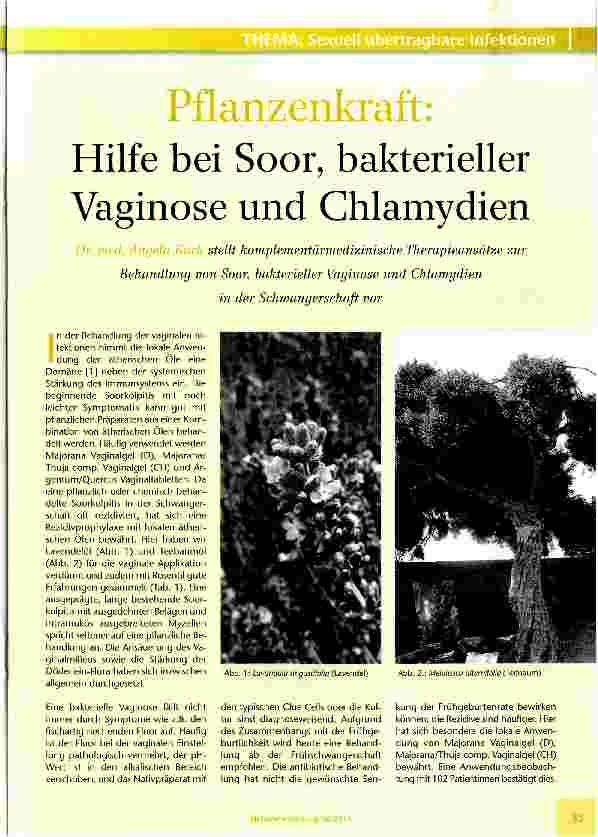 Vorschauseite 1: Pflanzenkraft: Hilfe bei Soor, bakterieller Vaginose und Chlamydien