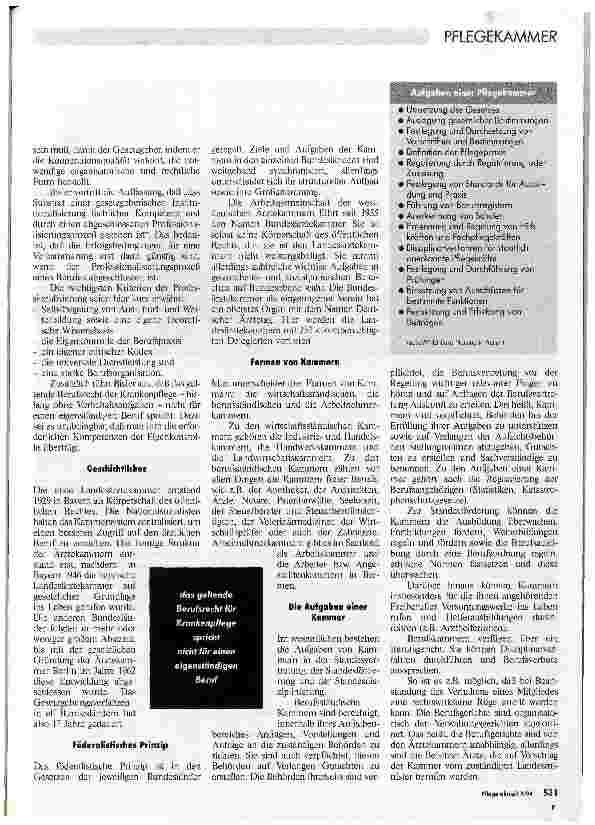 Vorschauseite 2: Kammer für Pflegeberufe