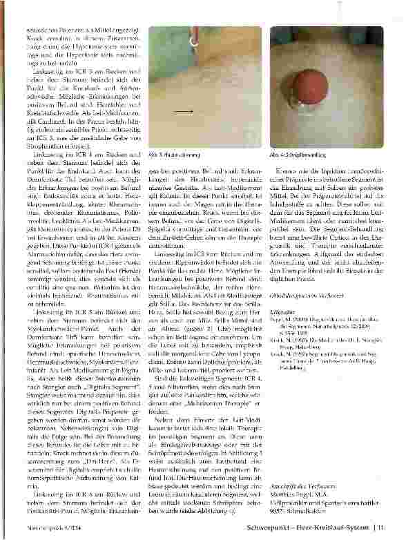 Vorschauseite 2: Das Herz in der Segment-Lehre
