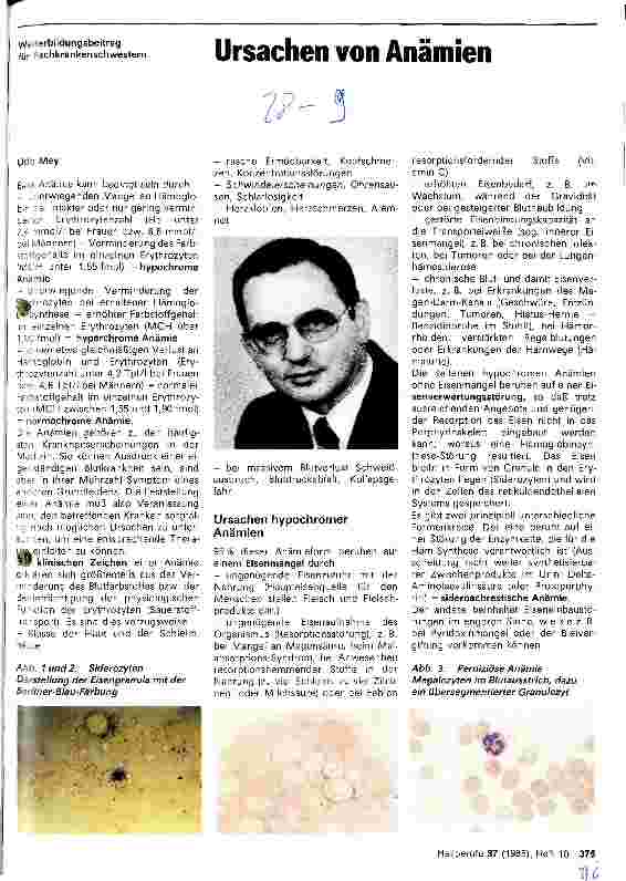 Vorschauseite 1: Ursachen von Anämien
