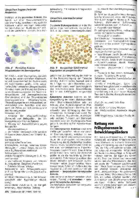 Vorschauseite 2: Ursachen von Anämien