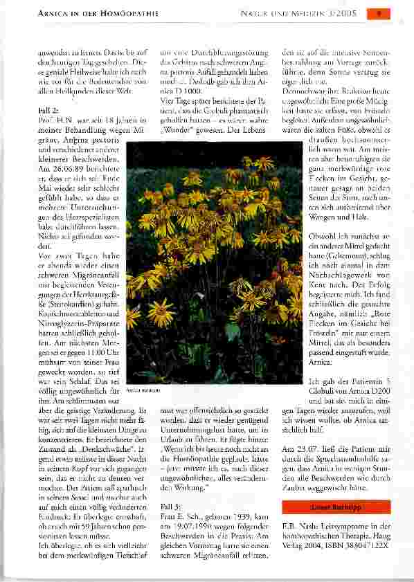 Vorschauseite 3: ARNICA IN DER HOMÖOPATHIE