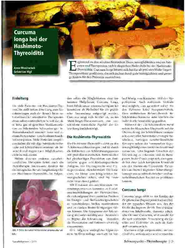 Vorschauseite 1: Curcuma longa bei der Hashimoto-Thyreoiditis