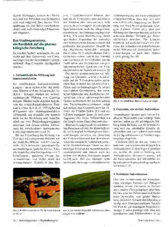 Vorschauseite 2: Curcuma longa bei der Hashimoto-Thyreoiditis