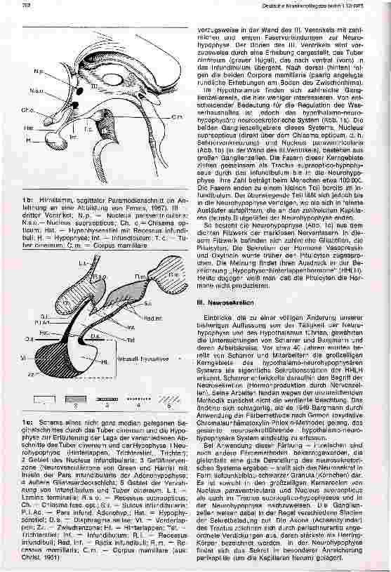 Vorschauseite 2: Neurosekretion und Hypophysenhinterlappenhormone