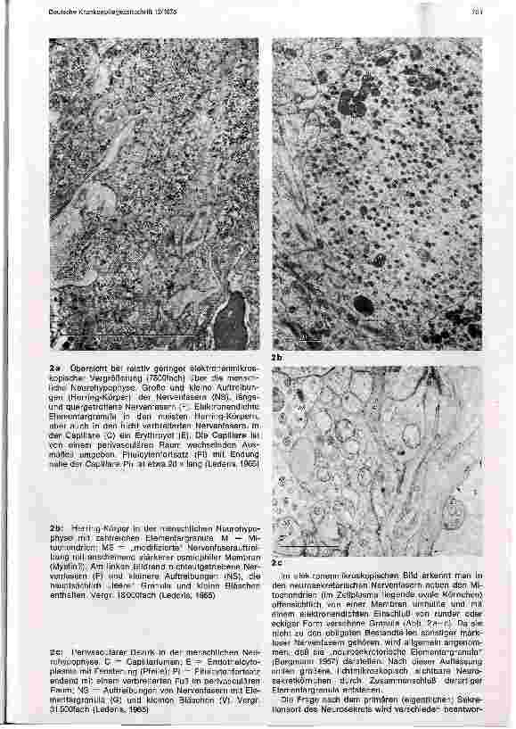 Vorschauseite 3: Neurosekretion und Hypophysenhinterlappenhormone