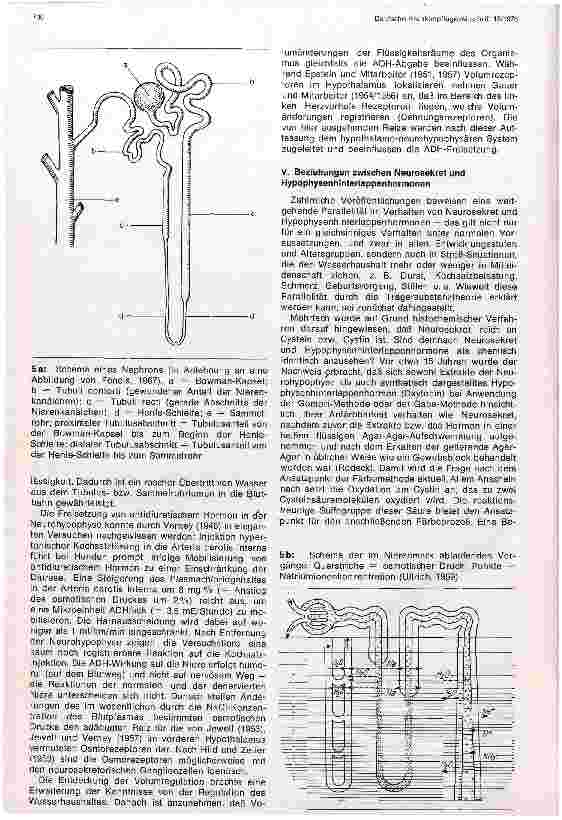 Vorschauseite 6: Neurosekretion und Hypophysenhinterlappenhormone