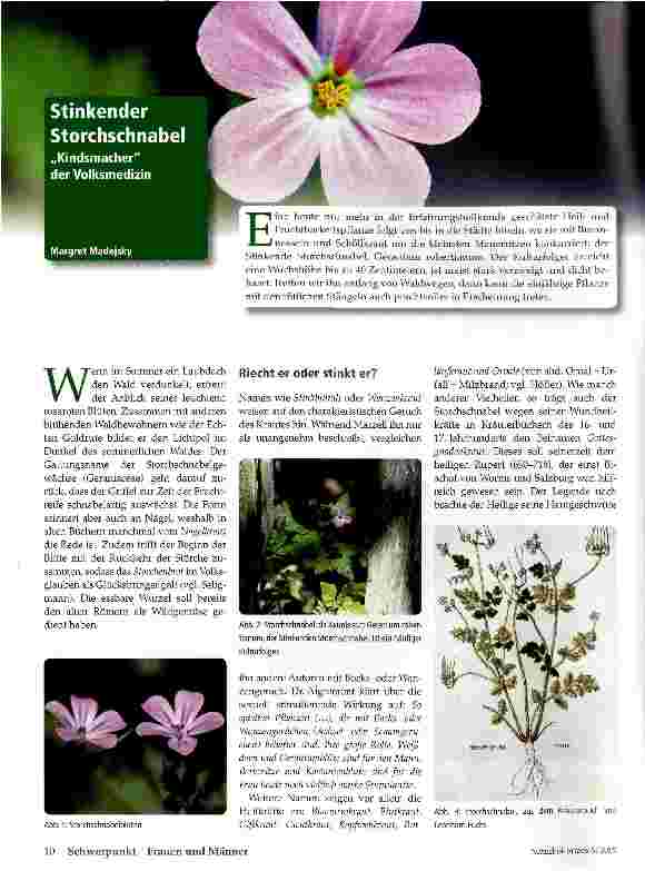Vorschauseite 1: Stinkender Storchschnabel