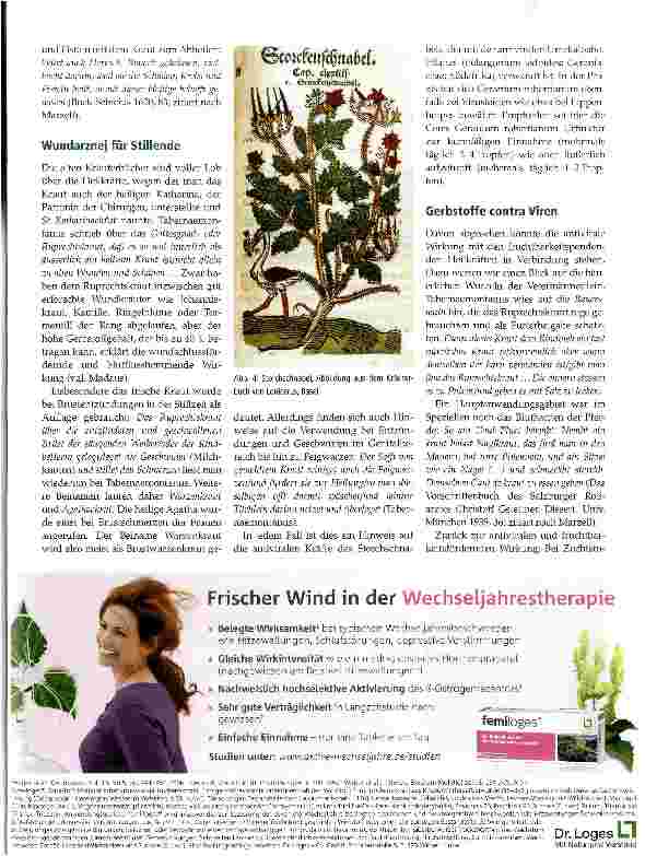 Vorschauseite 2: Stinkender Storchschnabel