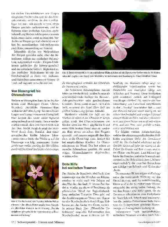 Vorschauseite 3: Stinkender Storchschnabel