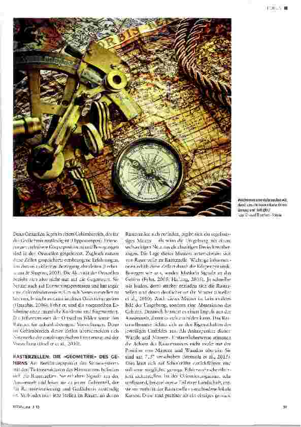 Vorschauseite 2: «Pfadfinder» im Gehirn