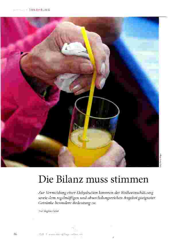 Vorschauseite 1: Die Bilanz muss stimmen