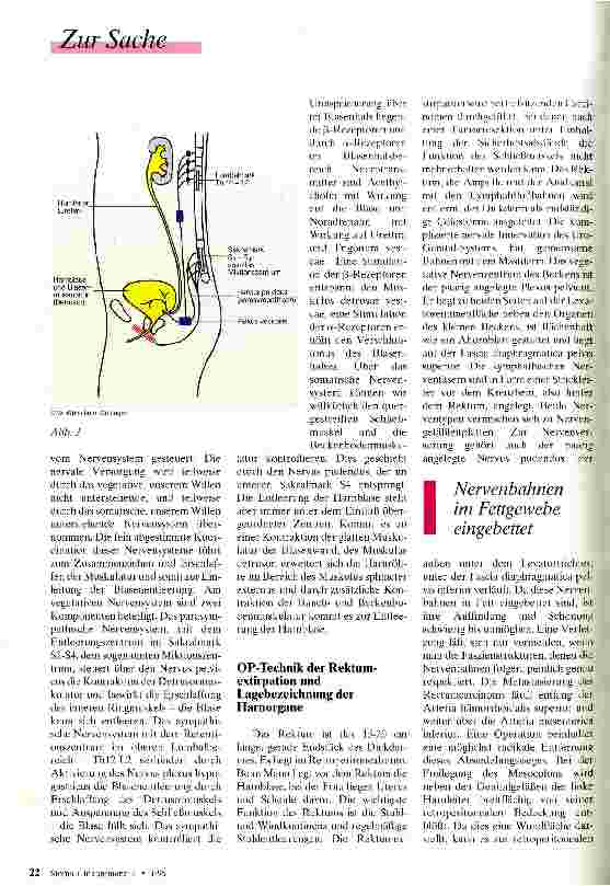 Vorschauseite 2: Gesundheit hat ihren Preis Miktionsstörungen nach Rektumexstirpation