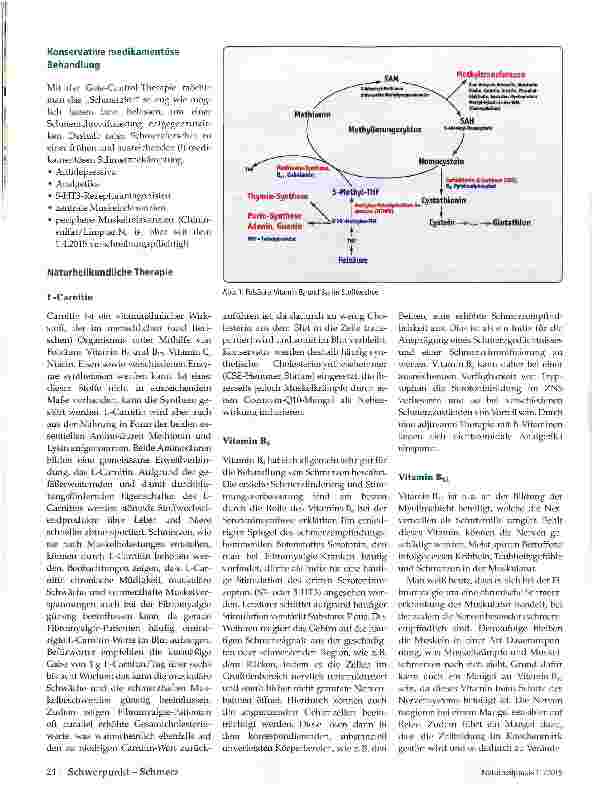Vorschauseite 3: Fibromylagie-Syndrom