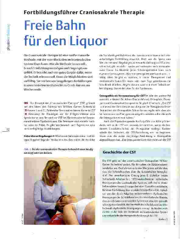 Vorschauseite 1: Fortbildungsführer Craniosakrale Therapie Freie Bahn für den Liquor