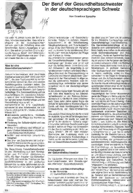Vorschauseite 1: Der Beruf der Gesundheitsschwester in der deutschsprachigen Schweiz