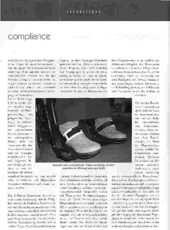 Vorschauseite 4: solche schuhe ziehe ich nicht an! compliance in der praxis