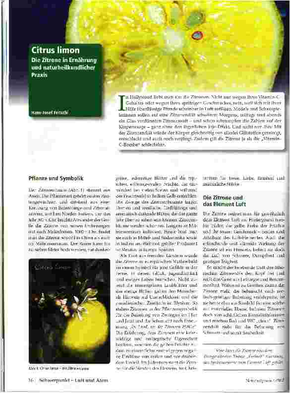 Vorschauseite 1: Citrus limon