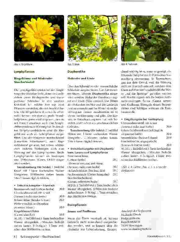 Vorschauseite 5: Stoffwechsel und Entgiftung