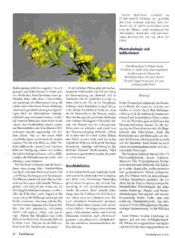 Vorschauseite 2: Goldrute (Soli-dago virgaurea) Von der Signatur zur therapeutischen