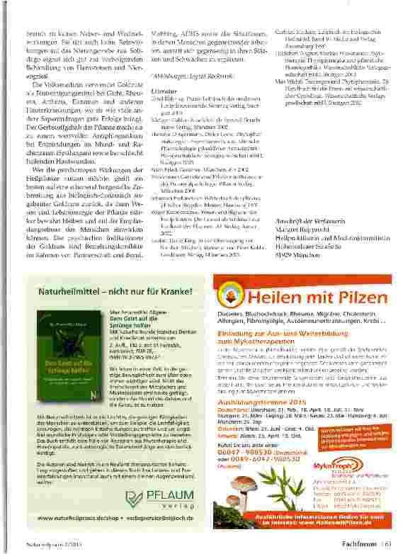 Vorschauseite 3: Goldrute (Soli-dago virgaurea) Von der Signatur zur therapeutischen
