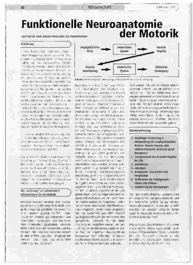 Vorschauseite 1: Funktionelle Neuroanatomie der Motorik