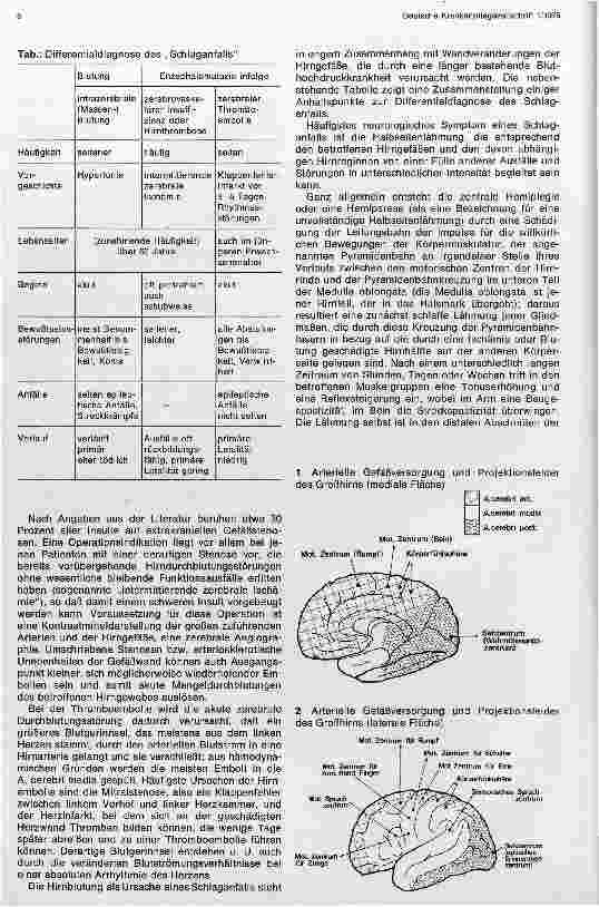 Vorschauseite 2: Klinische Rehabilitation Halbseitengelähmter - Entstehungsursachen und differentialdiagnostische Kriterien eines Schlaganfalls. ..