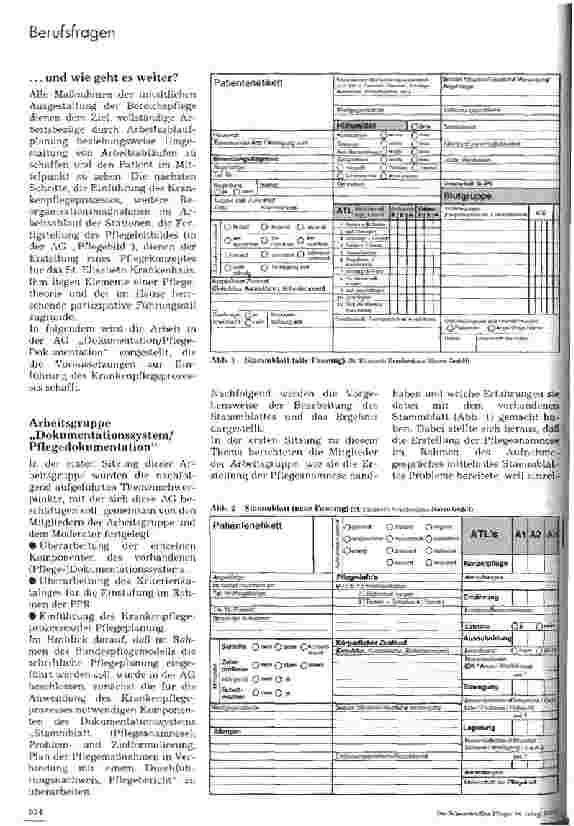 Vorschauseite 5: Bundespflegemodell. .. es tut sich was Arbeitsgruppen und deren erste Ergebnisse