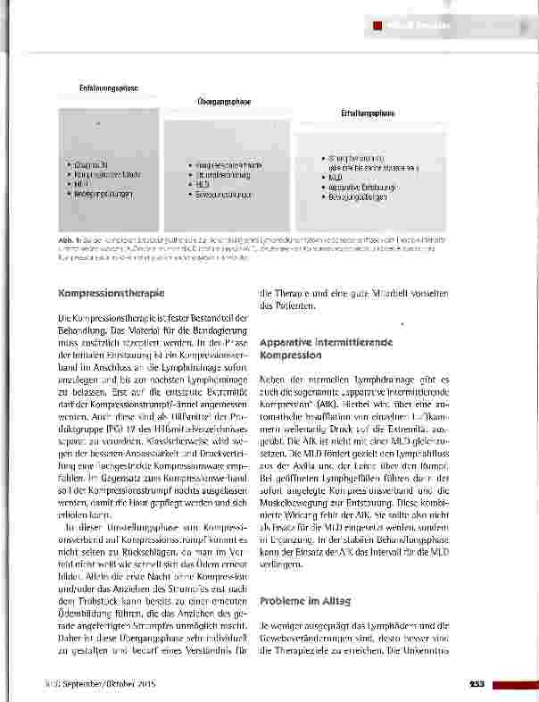 Vorschauseite 2: Therapie des Lymphödems