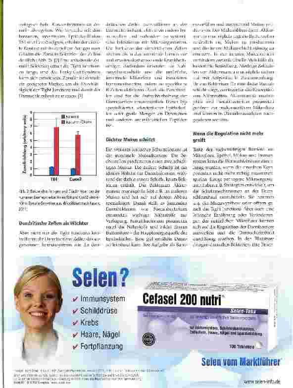 Vorschauseite 2: Leaky Gut Wenn der Darm durchlässig wird