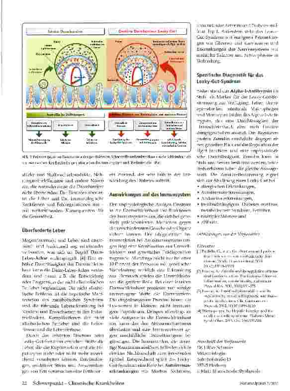 Vorschauseite 3: Leaky Gut Wenn der Darm durchlässig wird