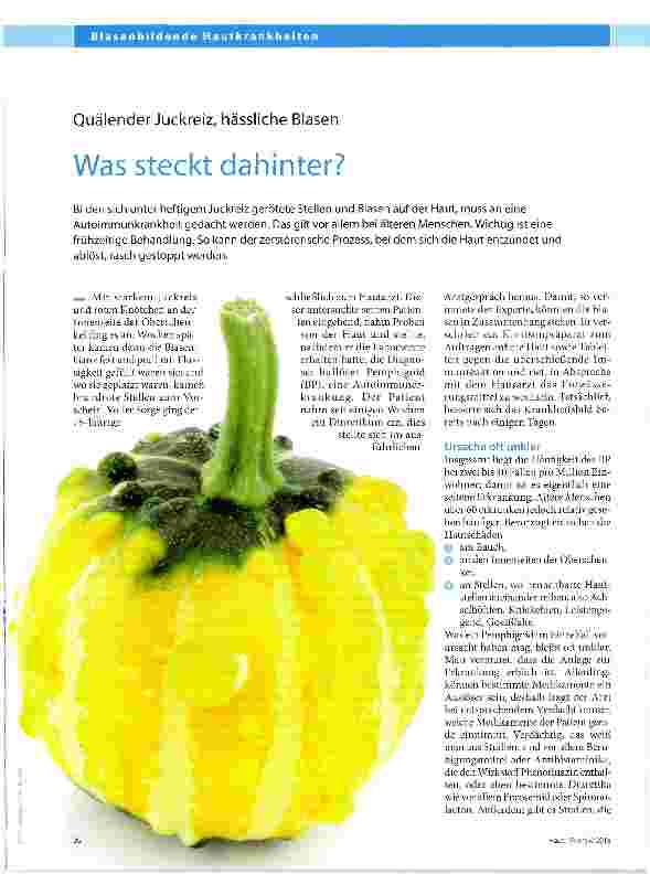 Vorschauseite 1: Was steckt dahinter?
