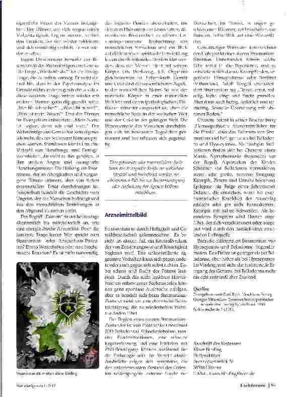 Vorschauseite 2: Datura stramonium Die macht der Dunkelheit