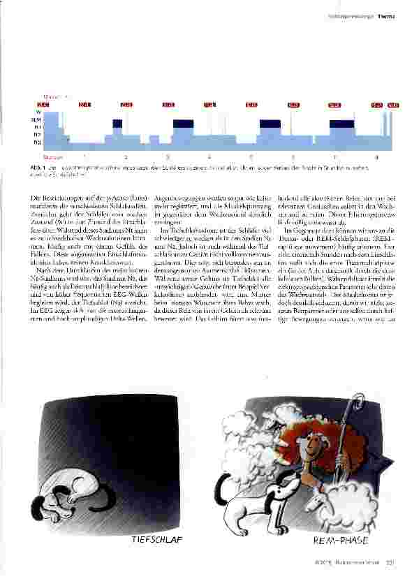 Vorschauseite 2: Eine Reise durch die Nacht - gesunder Schlaf, Schlafstörungen und Schichtarbeit