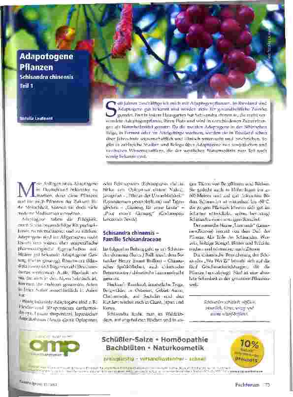 Vorschauseite 1: Adapotogene Pflanzen Schusandra chinesis Teil 1