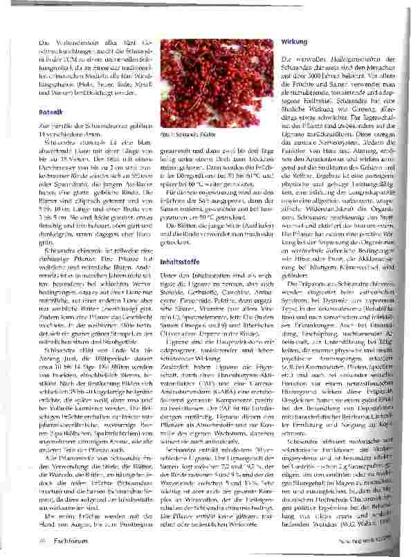 Vorschauseite 2: Adapotogene Pflanzen Schusandra chinesis Teil 1