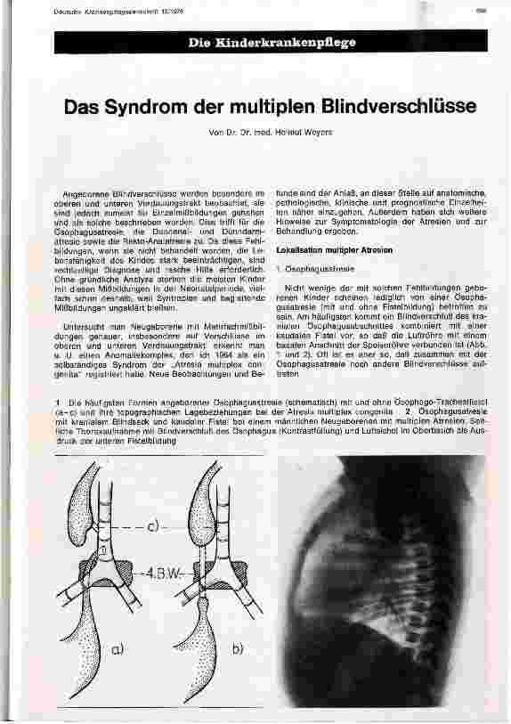 Vorschauseite 1: Das Syndrom der multiplen Blindverschlüsse