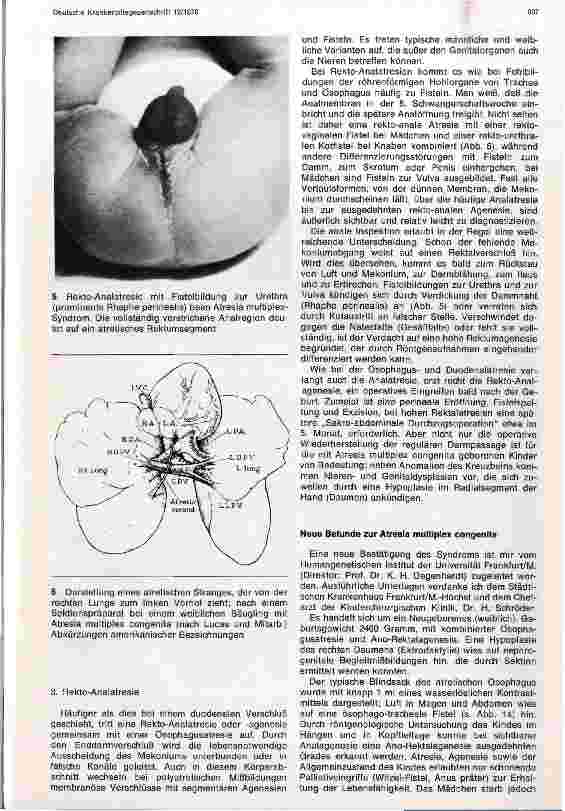 Vorschauseite 3: Das Syndrom der multiplen Blindverschlüsse