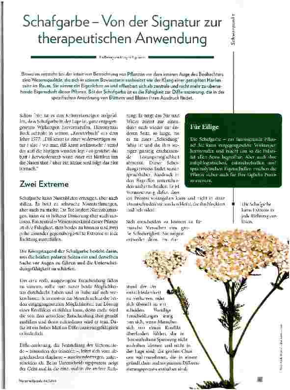Vorschauseite 1: Schafgarbe - Von der Signatur zur therapeutischen Anwendung