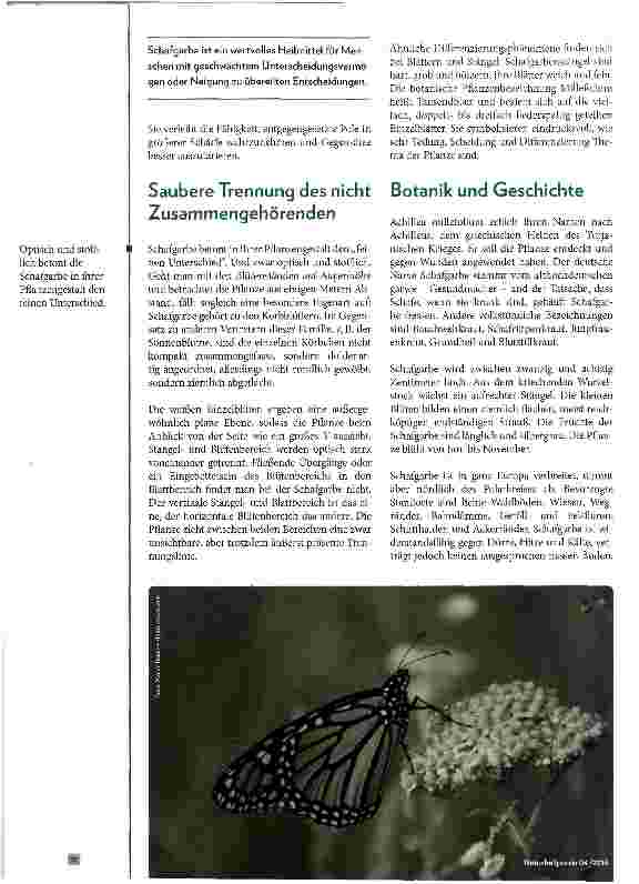 Vorschauseite 2: Schafgarbe - Von der Signatur zur therapeutischen Anwendung