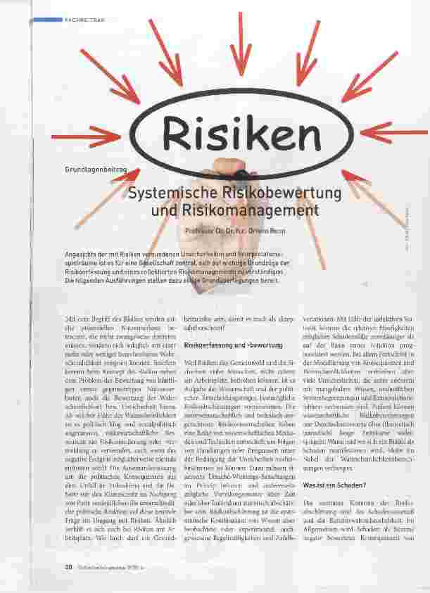 Vorschauseite 1: Systemische Risikobewertung und Risikomanagement