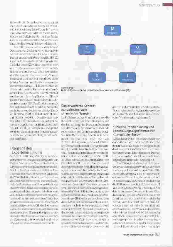 Vorschauseite 6: Expertenkonsens zu praxisrelevanten Aspekten der Wundtherapie mit einem Hämoglobin-Spray
