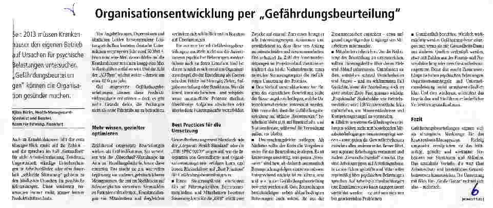 Vorschauseite 1: Organisationsentwicklung per „Gefährdungsbeurteilung