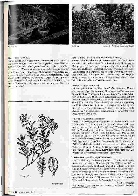 Vorschauseite 2: Arzneipflanzen