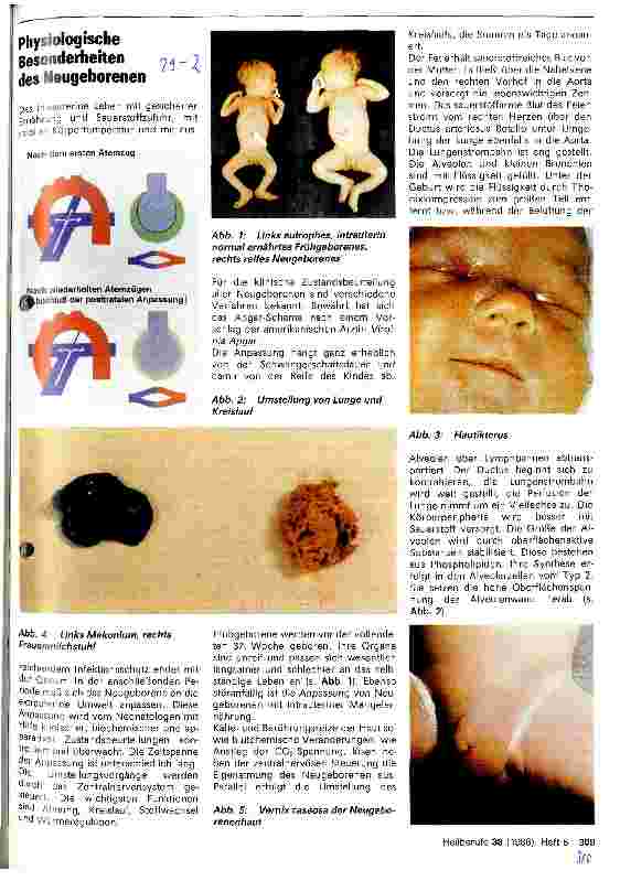 Vorschauseite 1: Physiologische Besonderheiten des Neugeborenen