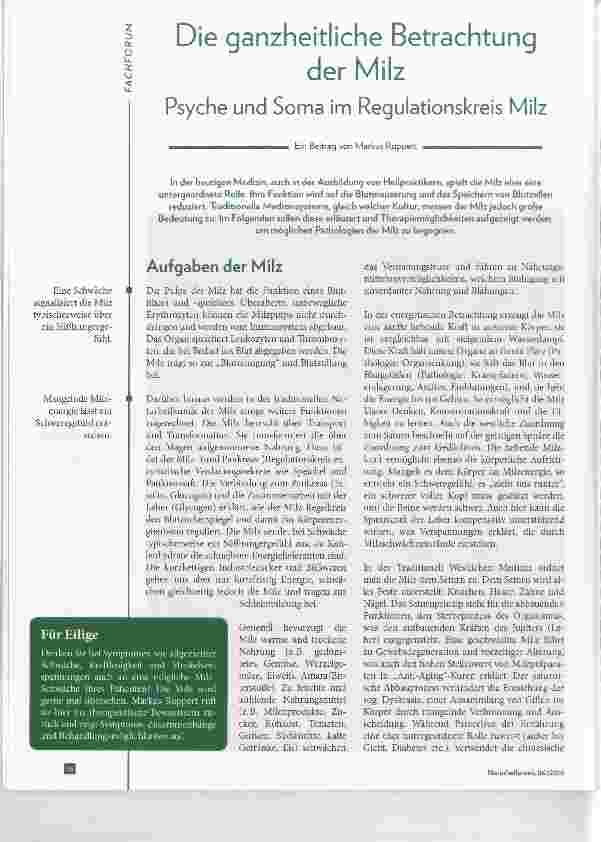 Vorschauseite 1: Die ganzheitliche Betrachtung der Milz