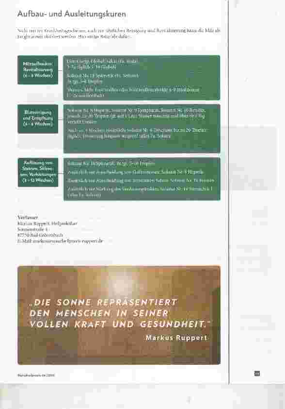 Vorschauseite 4: Die ganzheitliche Betrachtung der Milz