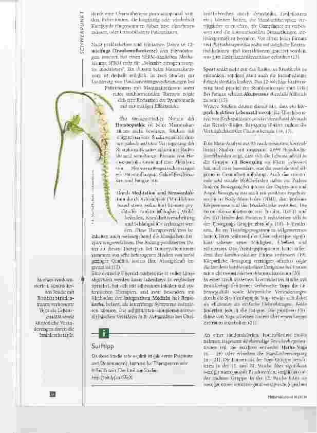 Vorschauseite 3: Neue Studien zu komplementärmedizinischen Maßnahmen