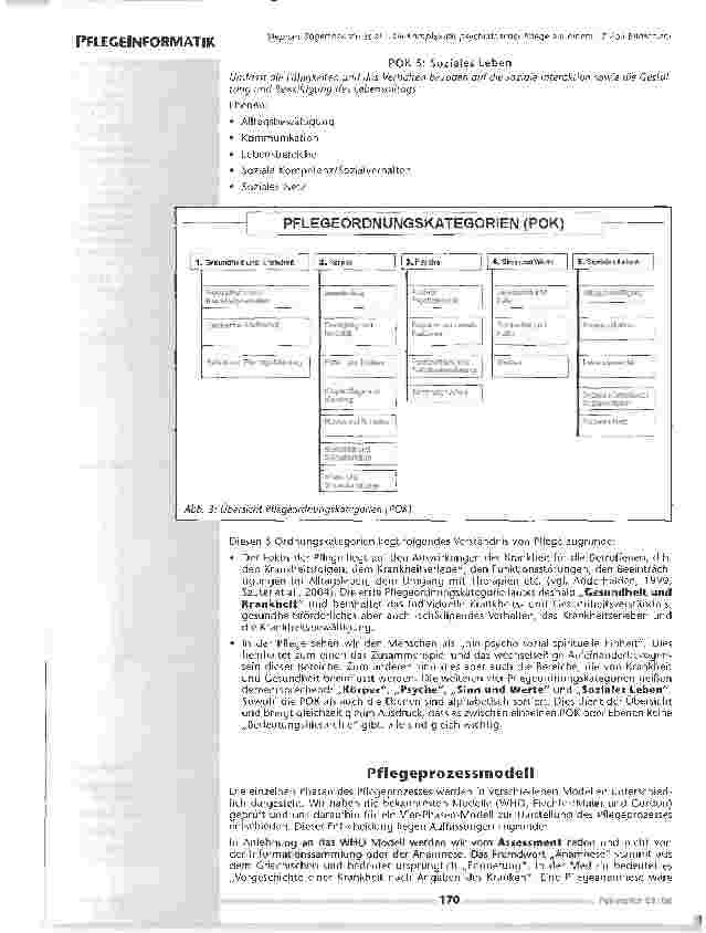 Vorschauseite 4: Die Komplexität psychiatrischer Pflege auf einem 17 ZollBildschirm