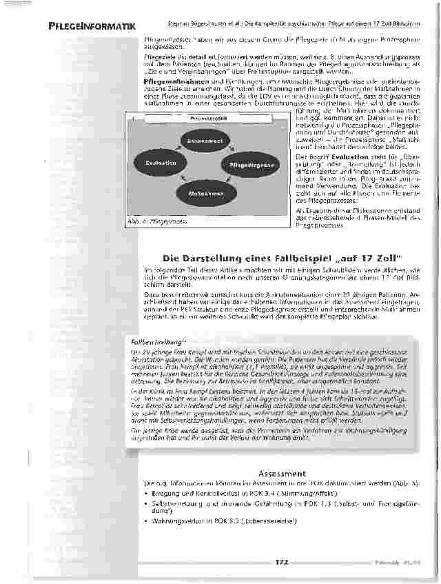 Vorschauseite 6: Die Komplexität psychiatrischer Pflege auf einem 17 ZollBildschirm